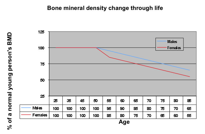 Osteoporosis graph 1